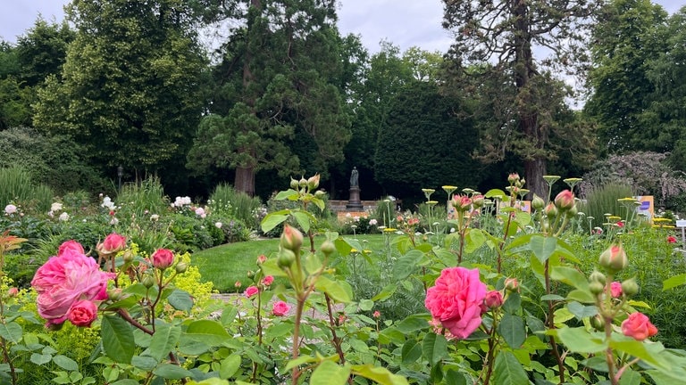 Der Rosengarten Amélie ist ein poetischer Gedenkgarten zu Ehren der Frauen. Zu finden ist er auch im Stadtpark Luxemburg.