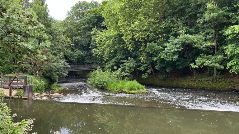 Die Alzette in Luxemburg. Beim Rundgang durch die LUGA in Luxemburg erwarten Besucher solche Ausblicke auf das Flusstal. 