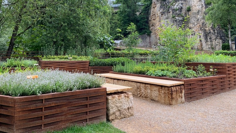 Ein Kräutergarten mitten in Luxemburg-Stadt. Gleich neben dem Fluss Alzette wurde der Garten anlässlich der LUGA in Luxemburg angelegt. 